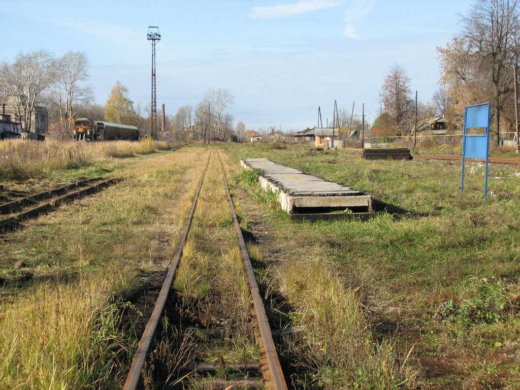 Station of narrow-gauge railway by misha samon