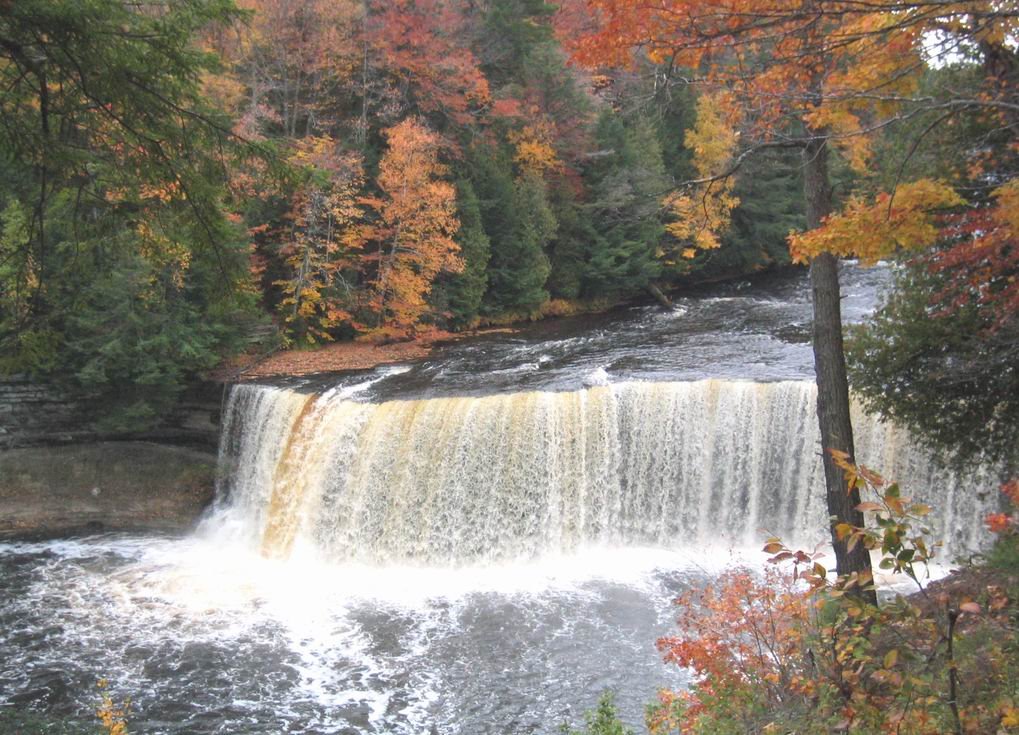 Fall colors at Taquamenon Falls, Michigan by jshirey