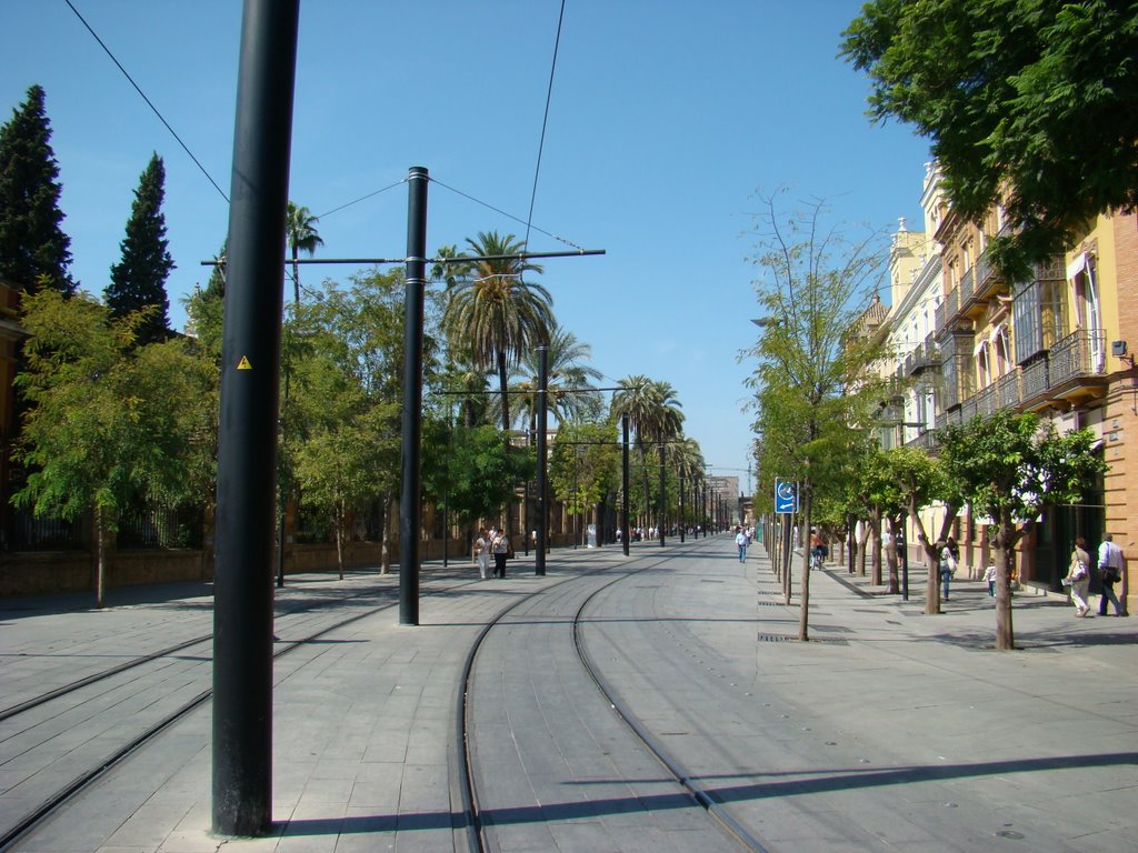 Calle San Fernando, Sevilla, Spain by stexzgb