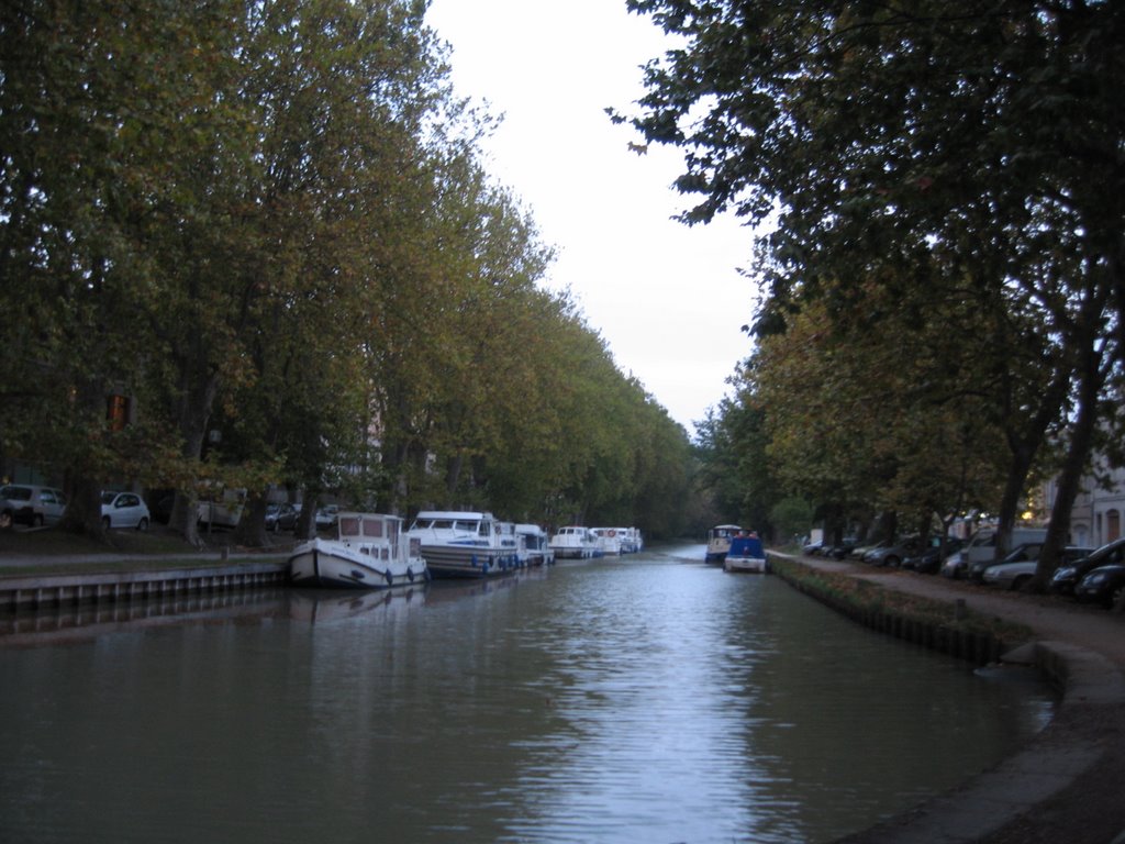 Canal de Midi by JOHNSON21C