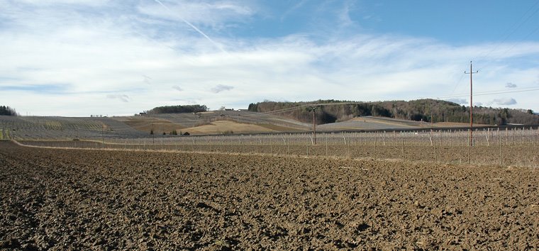 Styrian Landscapes-Großpesendorf by Gerhard Skrapits