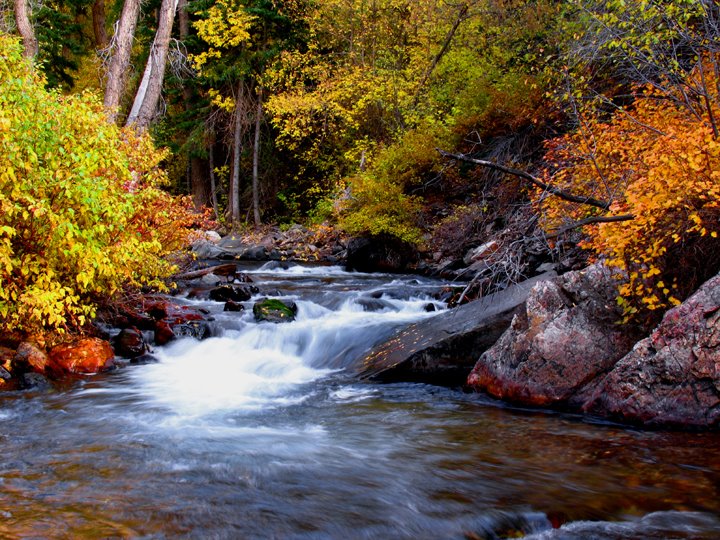 Big cottonwood fall color by spencer baugh