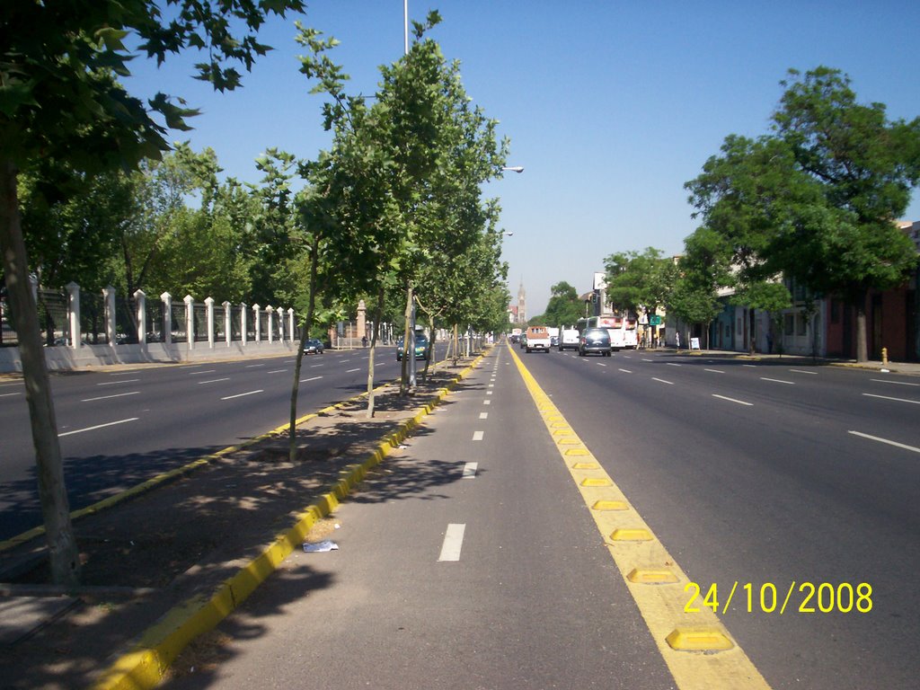 Ciclovía en Blanco Encalada (vista hacia el poniente) by 2late