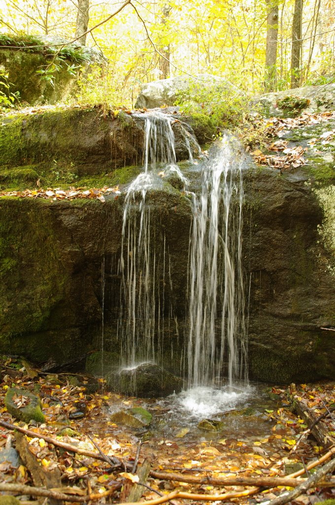 Small Falls on the way down to Apple Orchard falls by Tom Grayson