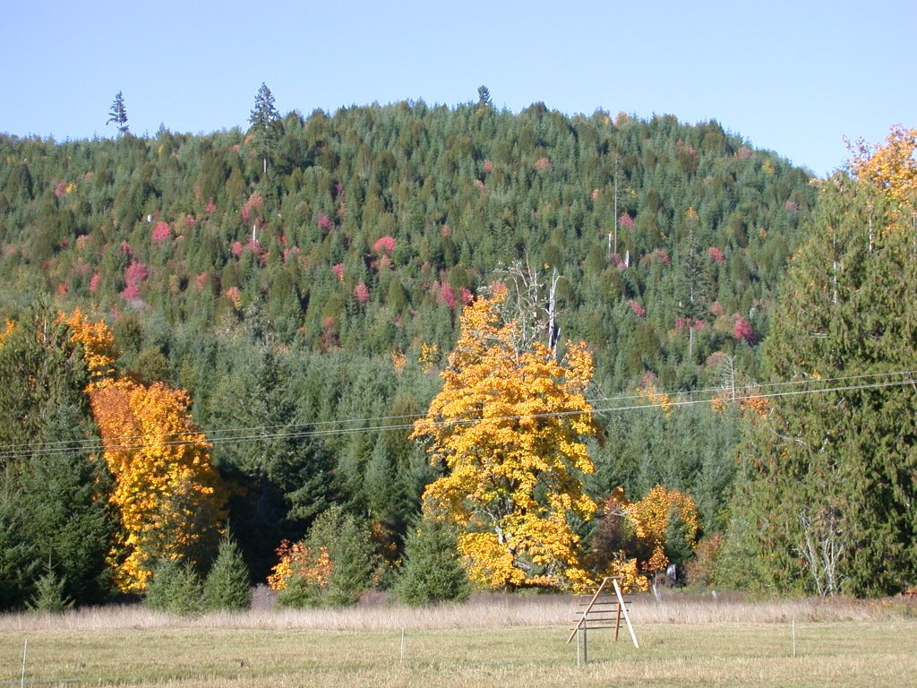 Oregon hill side in October by Flaminpyro