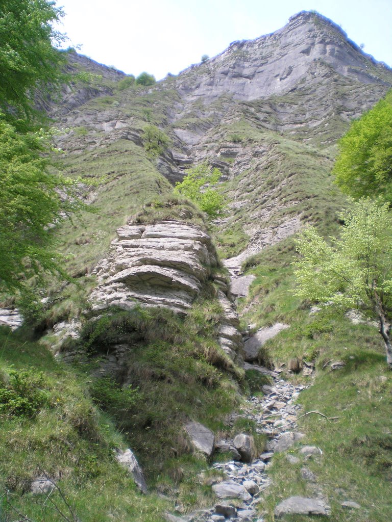 CIRCO DE ORDUÑA_CASCADA DEL RIO NERVION by castizo