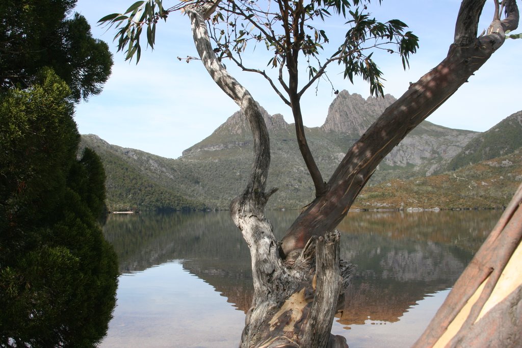 Cradle Mountain by Helmut Schwaibold