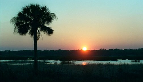 Myakka River State Park sunset by Mike Lang