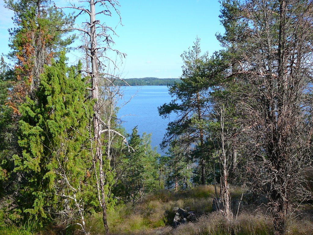 Liessaari,Lohja by Matti Henrik