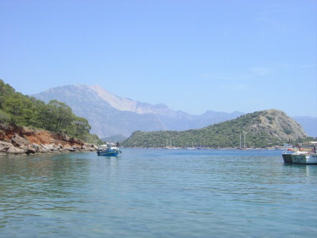 St Nicholas' Island by Sue Adair