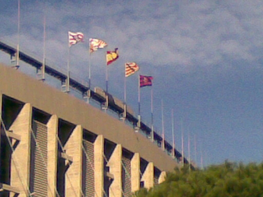 Banderas en el camp nou by Rodolfo Green