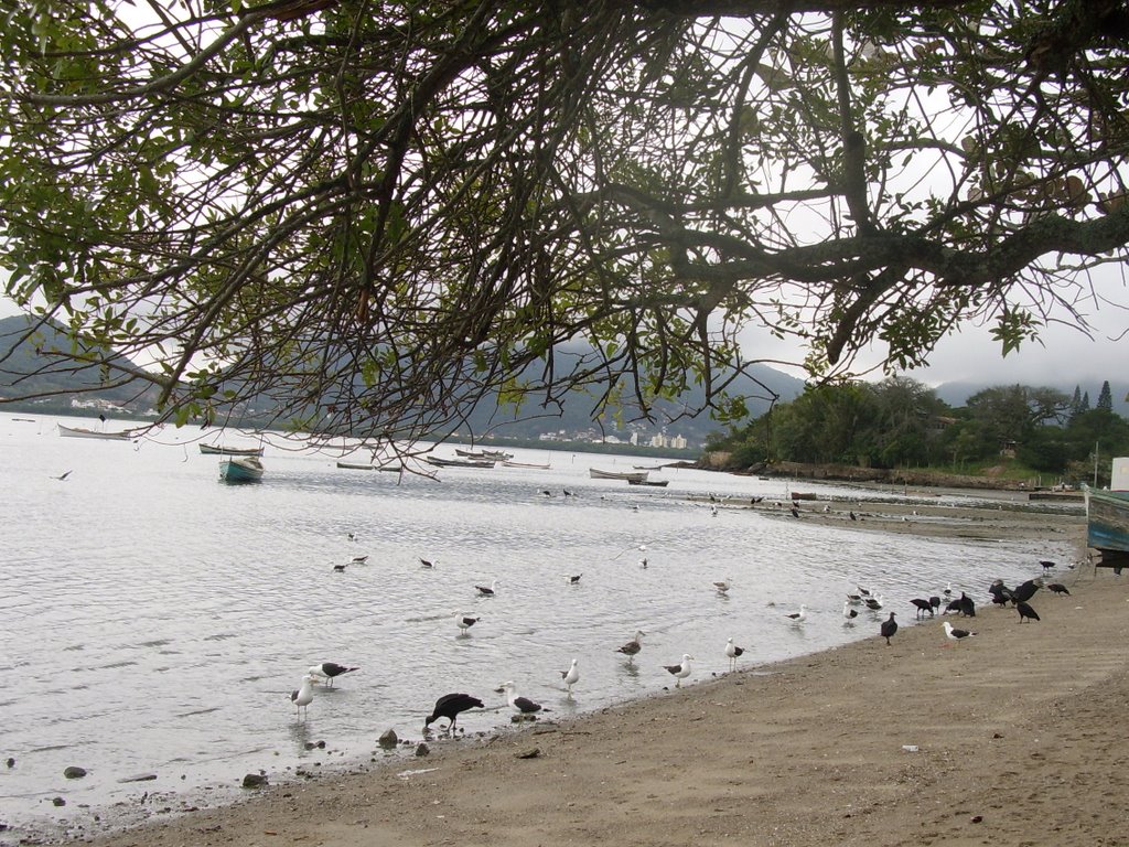 The worst beach on Earth by gashead