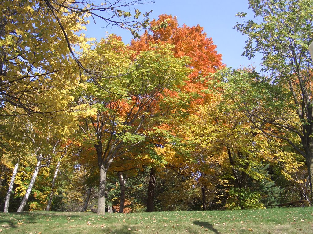 Indian Summer on the Mont Royal by StephanHitzel