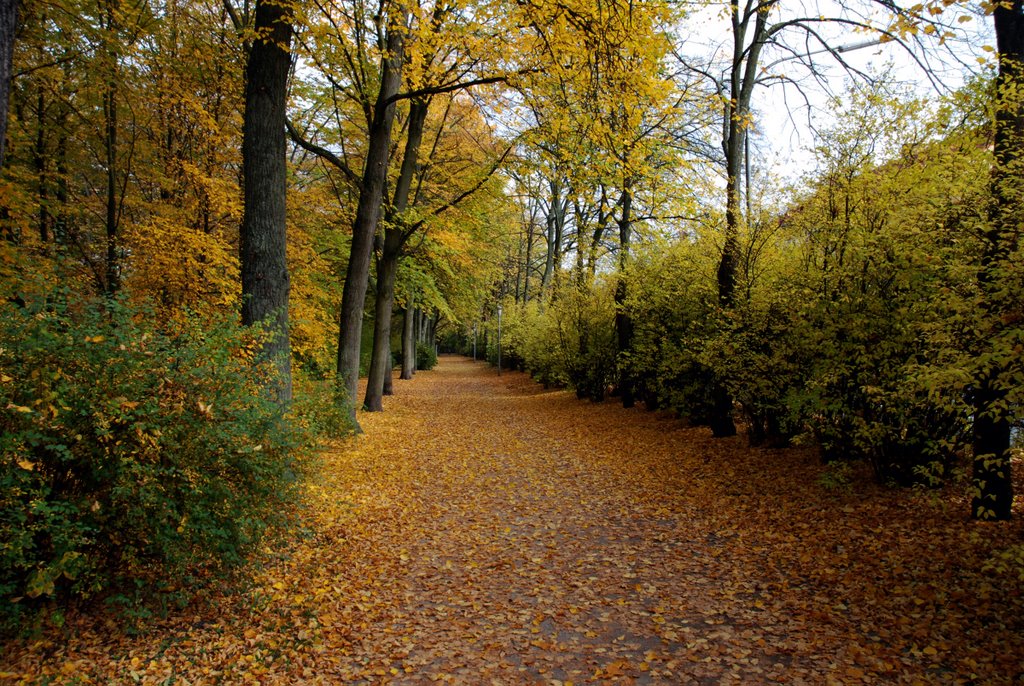 Hofgarten Bayreuth by Zbigniew Borus