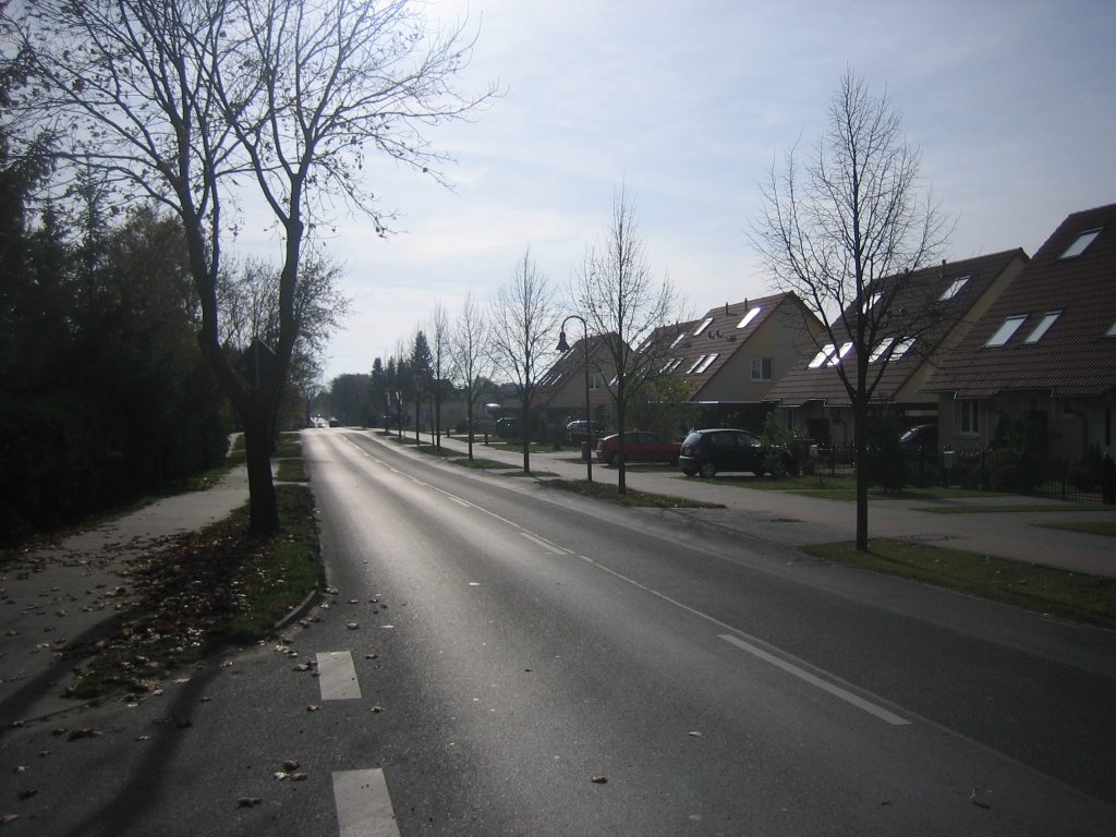 Woltersdorf, Vogelsdorfer Straße by Thomas Lohburg