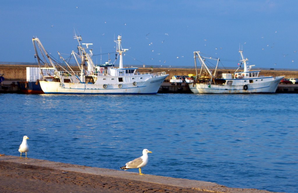 San benedetto del tronto by ankela taka