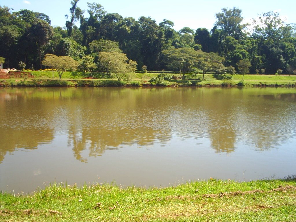 Vista do Parque Artur Thomaz/Londrina-Pr by bortolato