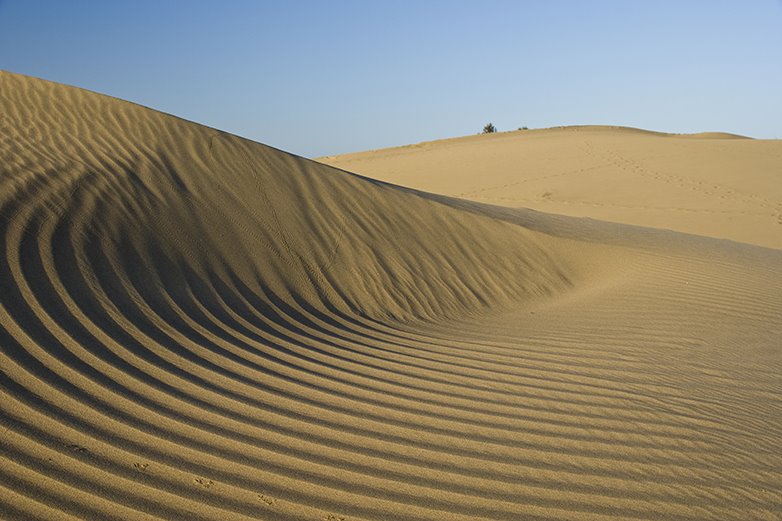 Sanddünen auf Gran Canaria (Playa del Ingles) by Neuner Jürgen