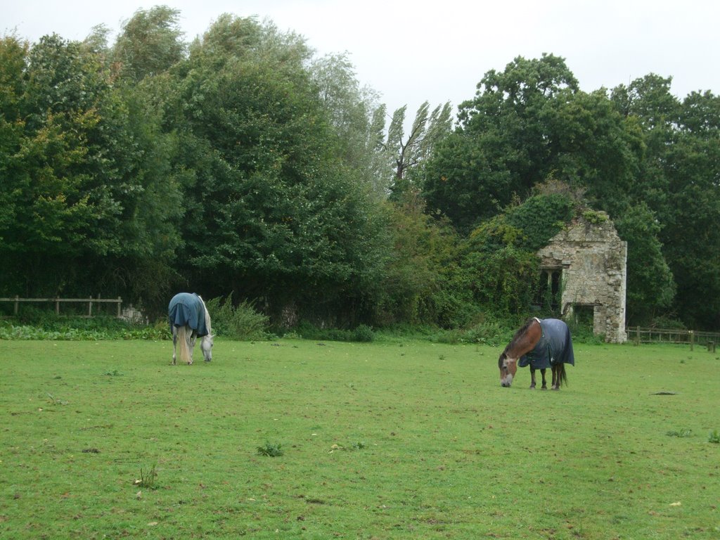 Ruined building to the west of Titchfield Abbey by robwoodward