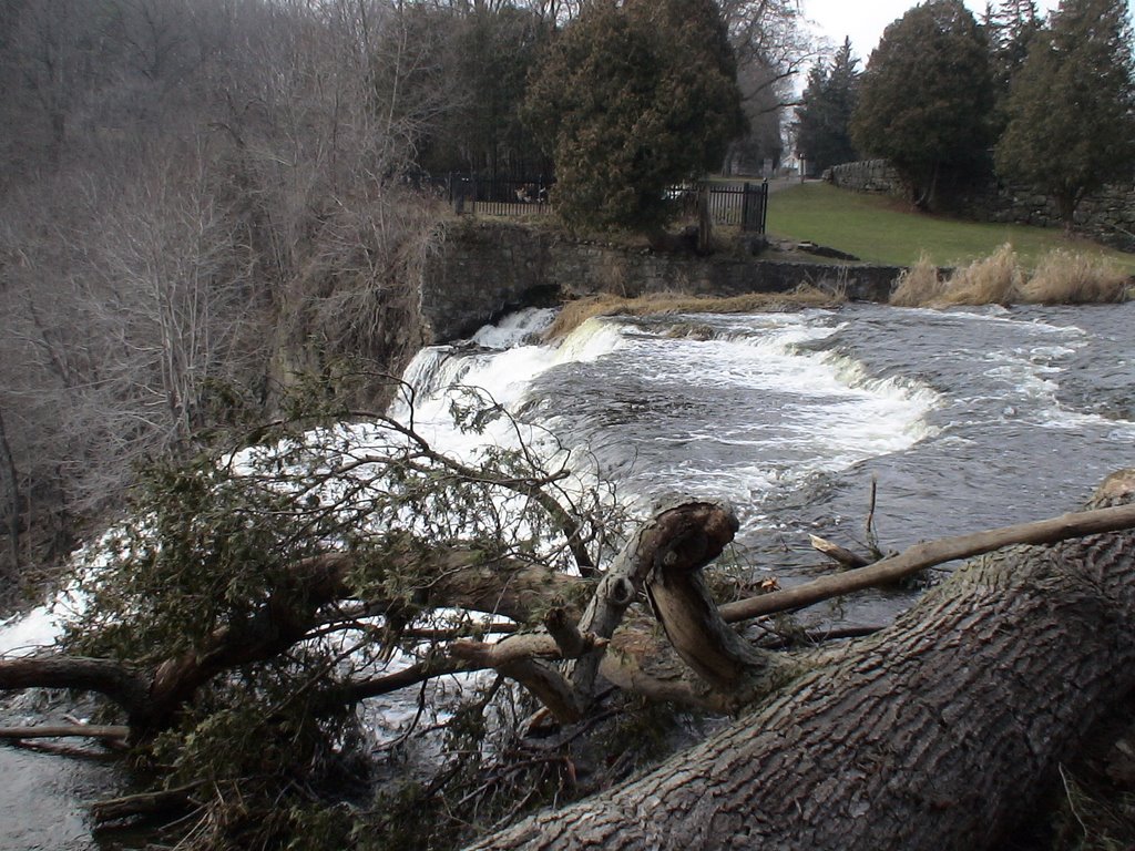 Websters Falls by julianna szula