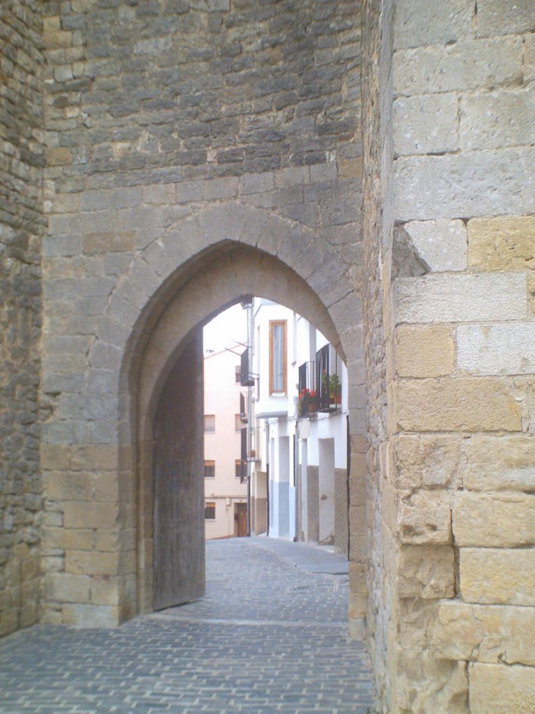 Puerta de la Nevera by Truckman2000