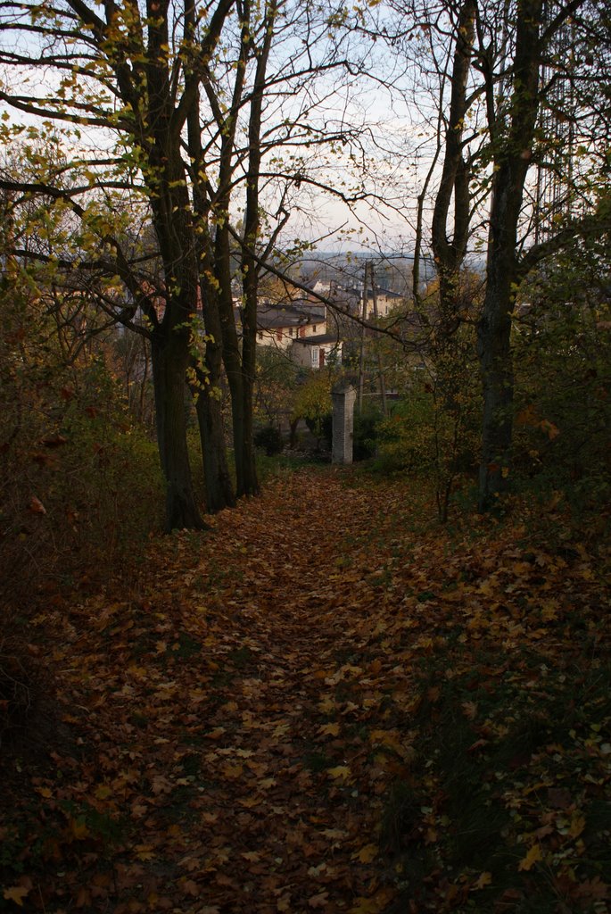 View from Old Evangelical Cemetery. Barcin. Pałuki. Poland. by wurkut