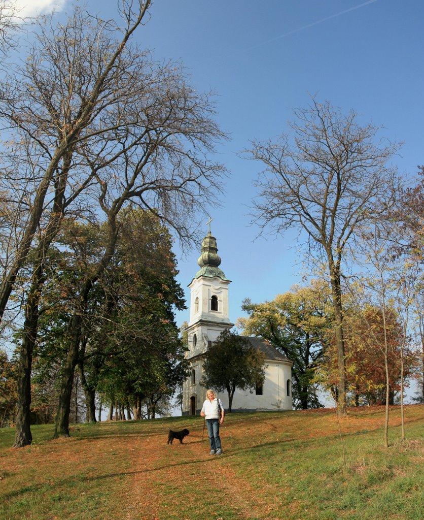 Tempel2 by z.gutman