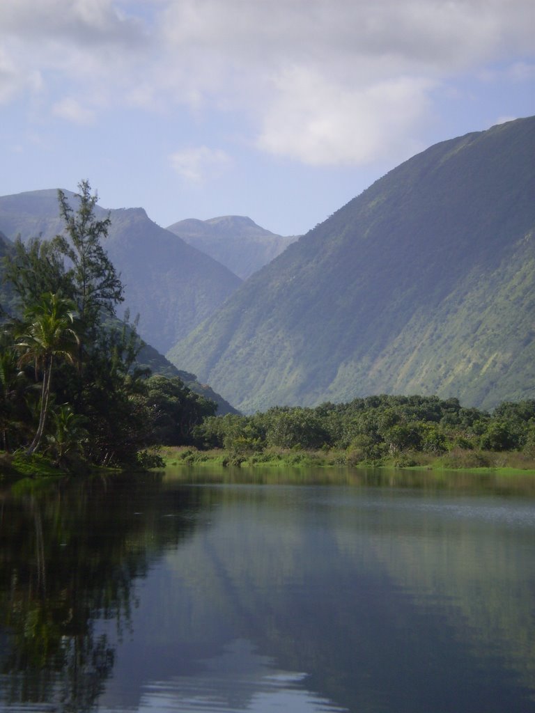 Waipio by Mitchell Green