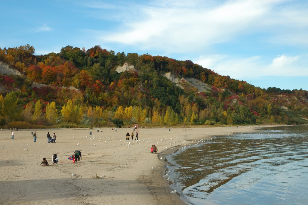 Beach area at Scarborough Bluff by danielpaco