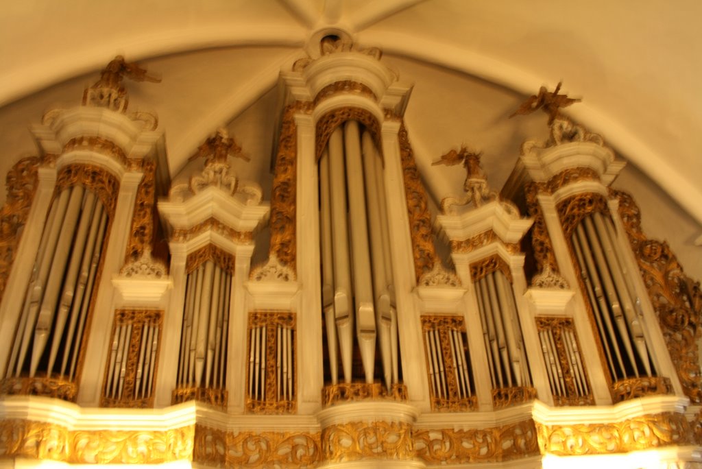 Sauer Organ (A.D. 1882) in St. Catharina Church, Kuldiga by Viesturs Pirro