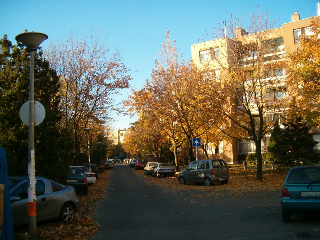 Budapest, Csepel ősszel - Budapest, Csepel in autumn by elgrand3