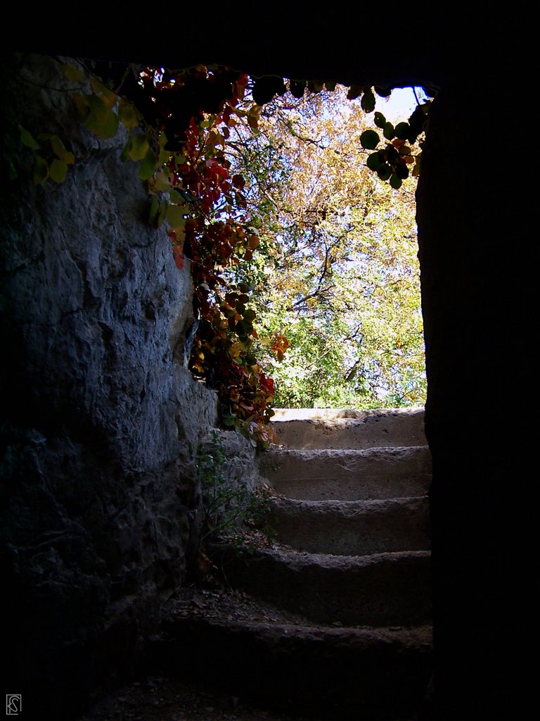 Foiarola_Sentiero Rilke: "Quindi uscimmo a riveder ... la luce" (omaggio a Margherita) by Flavio Snidero