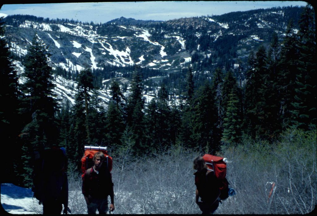 Above Nelson Creek by bushwackers