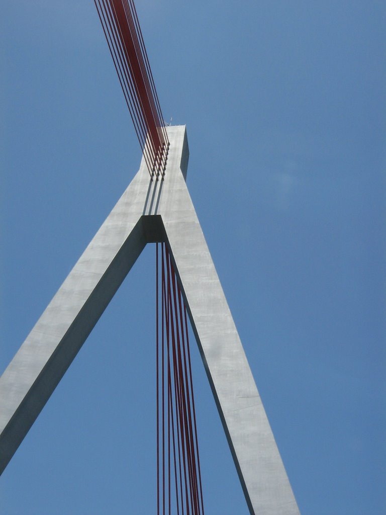 Autobahnbrücke Speyer by Froschmuseum