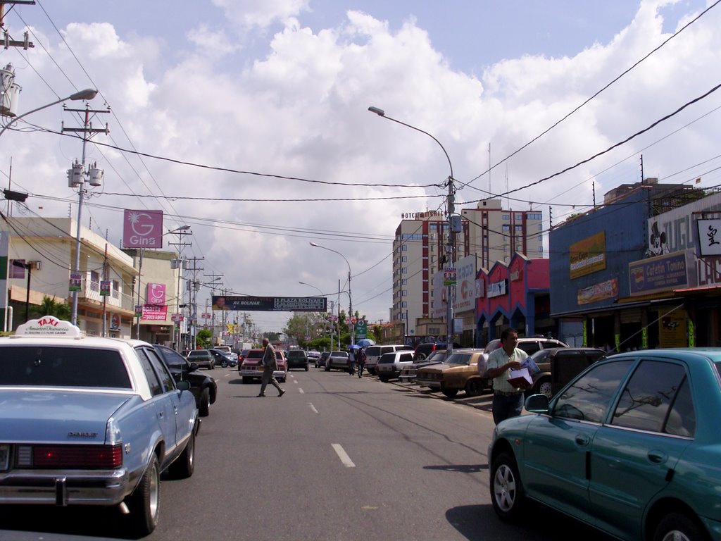 Avenida Bolívar_ hacia el noreste_ by fab_zac