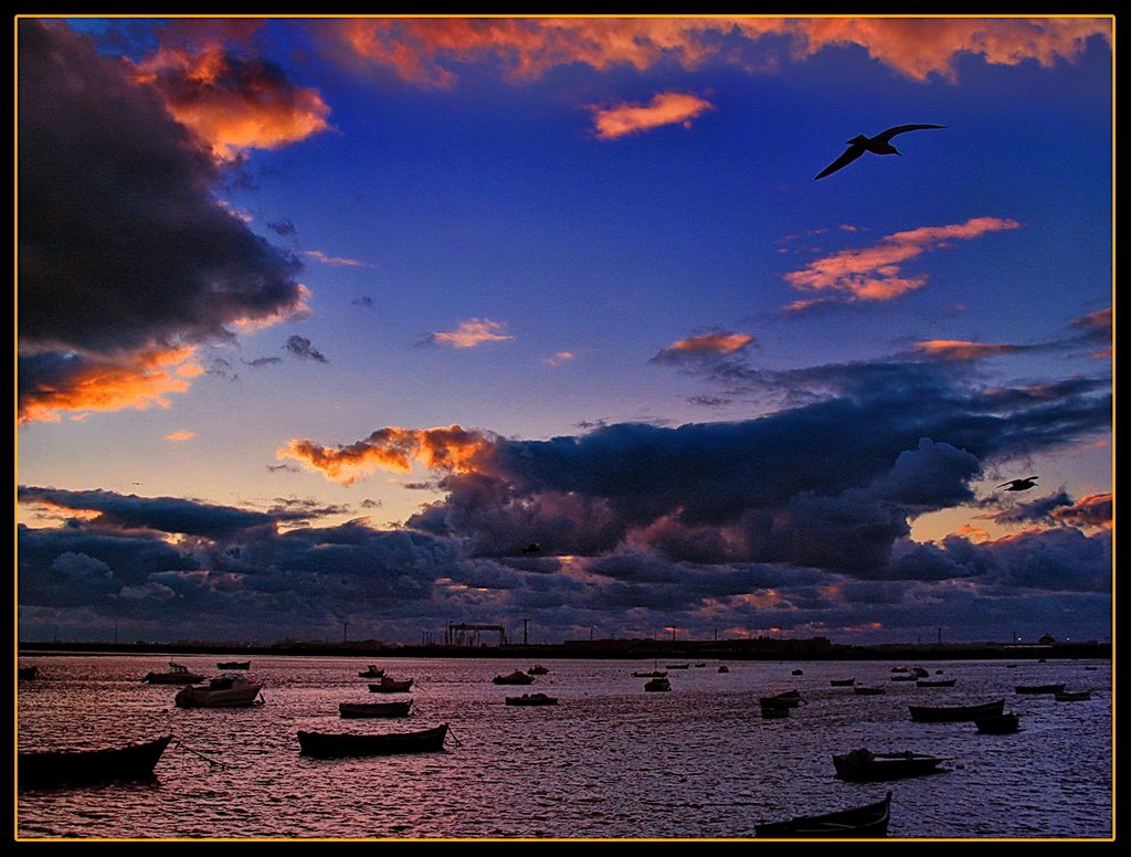 Juan Salvador Gaviota II. John Livingstone Seagull II. by Jose Ramon el Bollo