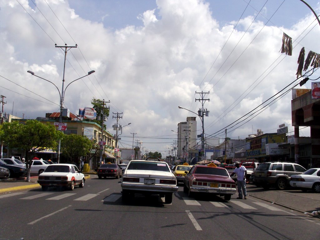 Avenida Bolívar_ hacia el noreste_ by fab_zac