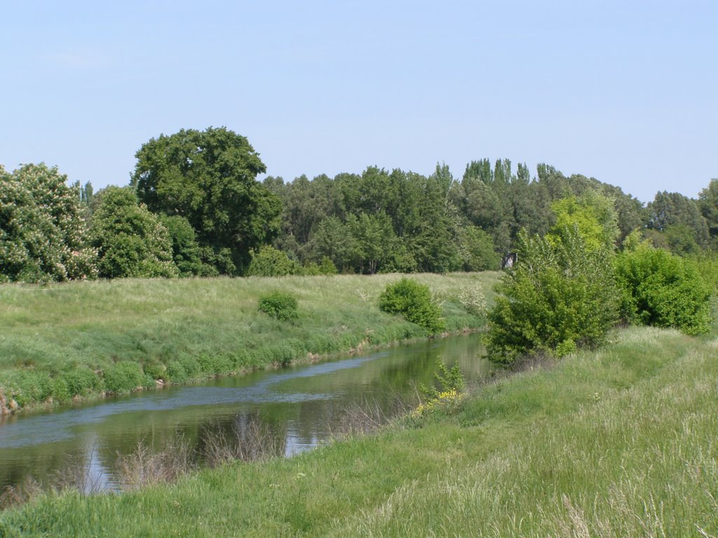 Rieka Nitra v Nových Zámkoch. by Pityu 55