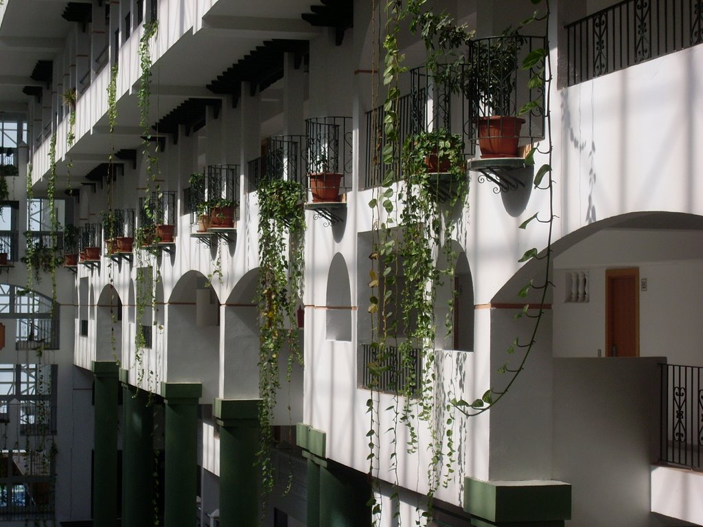 Enredaderas - Interior Hotel Bahía Serena by juanjo_maki