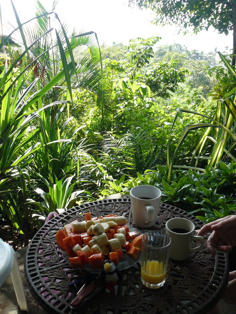 Breakfast - Montezuma, CR by Denny Pratt