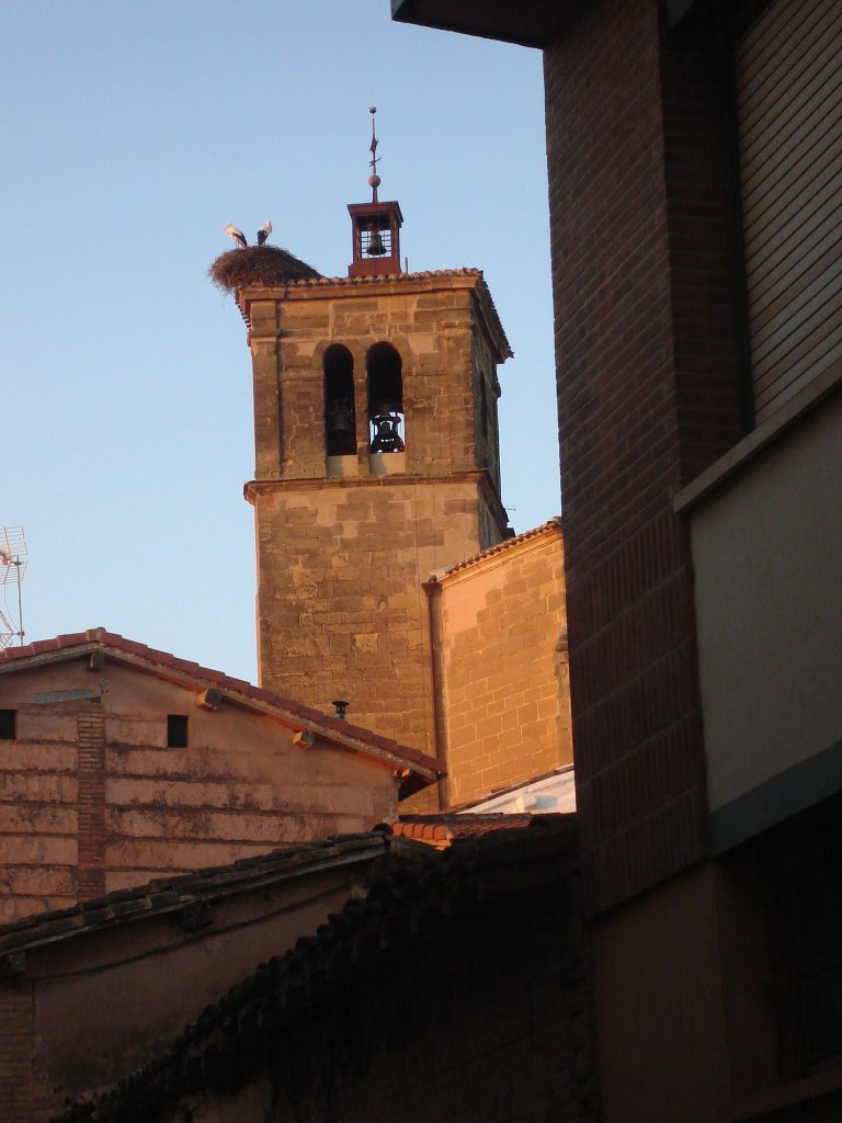 ·˙·CaminoUli2008·.· Azofra - Storks on the tower of the church by ·˙·CaminoUli2008·.·