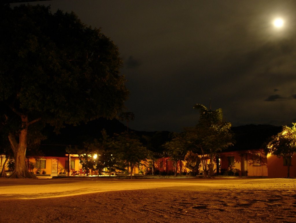 Moonlight at Fat Monkey's by elisj