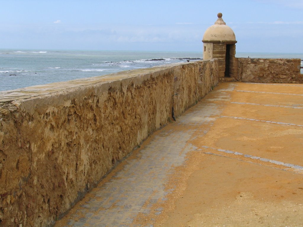 Castillo de Santa Catalina by Francisco Serradilla