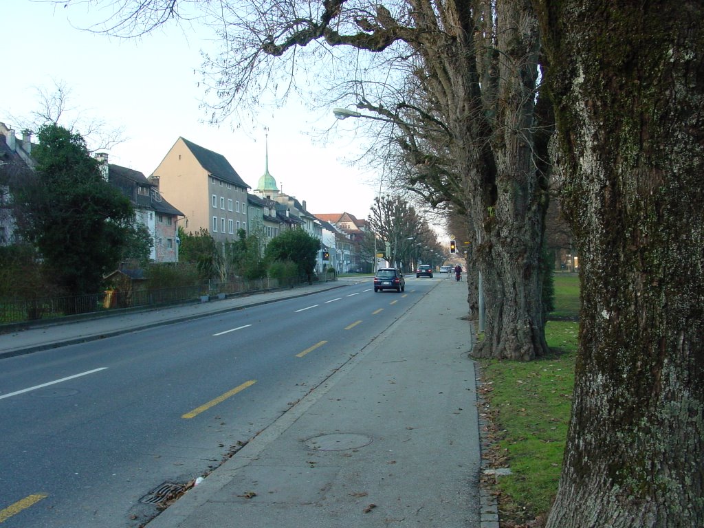 Zofingen - General-Guisan-Strasse by greenplanet