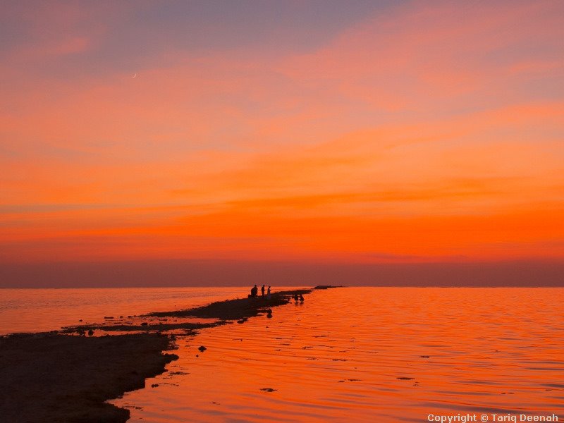 The Red Sea by Tariq Deenah