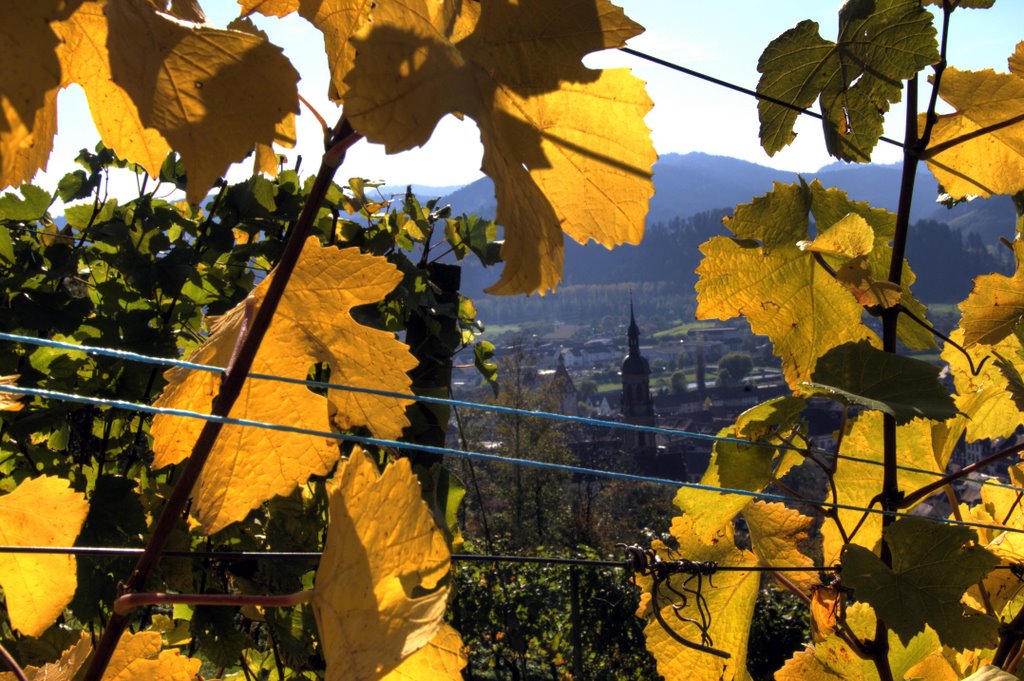 Goldener Herbst by Holger Uwe Schmitt