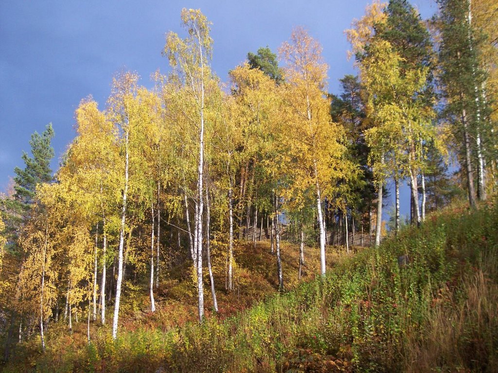 Maihaugen, Lillehammer, Norway by Norahm