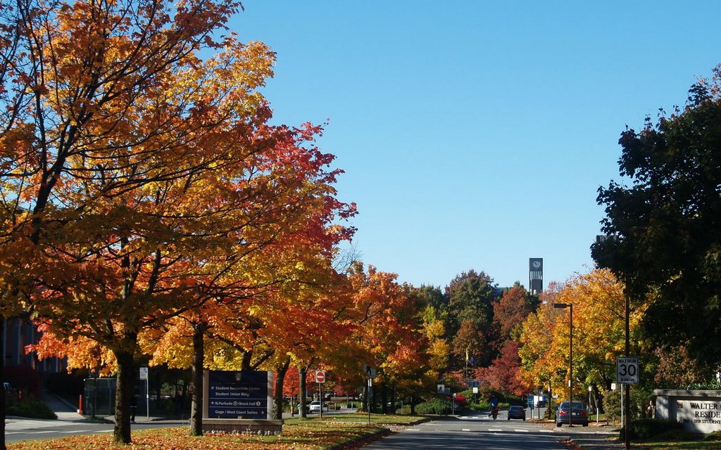 Clock Tower of UBC by Niu Dekui