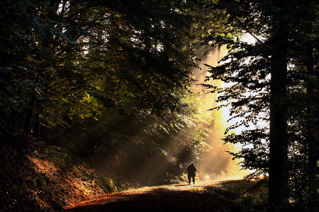 Herbstwanderung by Holger Uwe Schmitt