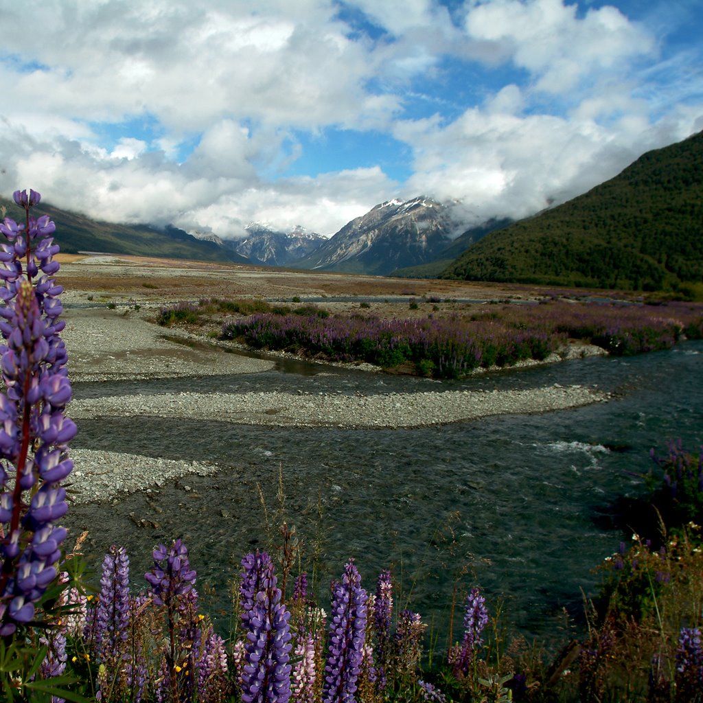 Driving South on the south island by brianmoc